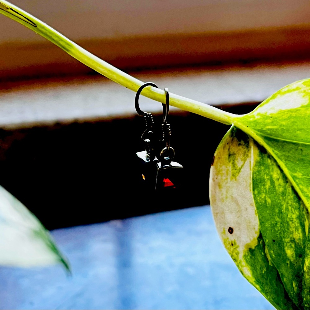 Elegant Sterling and Red Drop Earrings